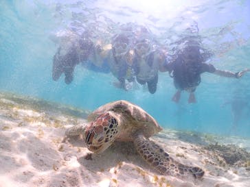 宮古島マリン GB QUESTに投稿された画像（2023/8/17）