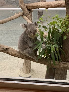 淡路ファームパーク イングランドの丘に投稿された画像（2023/8/17）