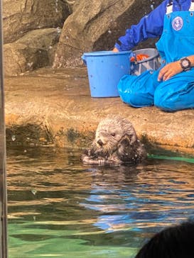 マリンワールド海の中道に投稿された画像（2023/8/17）