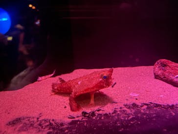 名古屋港水族館に投稿された画像（2023/8/17）