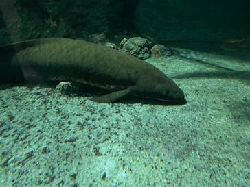 名古屋港水族館に投稿された画像（2023/8/17）