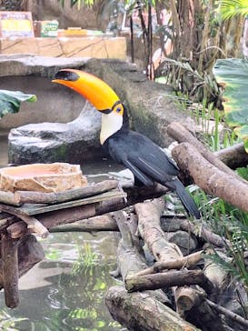 那須どうぶつ王国に投稿された画像（2023/8/17）