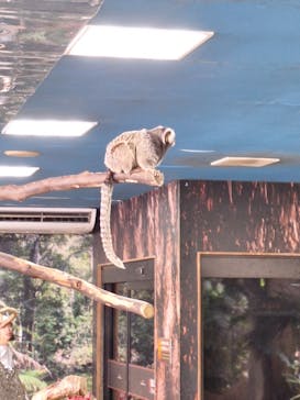 那須どうぶつ王国に投稿された画像（2023/8/17）