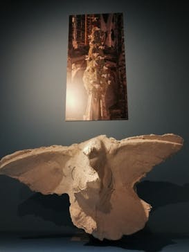 ガウディとサグラダ・ファミリア展 （東京国立近代美術館）に投稿された画像（2023/8/17）