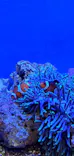 仙台うみの杜水族館に投稿された画像（2023/8/18）
