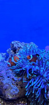 仙台うみの杜水族館に投稿された画像（2023/8/17）