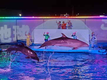 仙台うみの杜水族館に投稿された画像（2023/8/17）