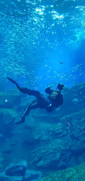 仙台うみの杜水族館に投稿された画像（2023/8/17）