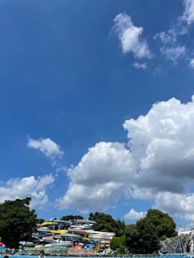 西武園ゆうえんちに投稿された画像（2023/8/17）