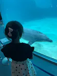 名古屋港水族館に投稿された画像（2023/8/18）