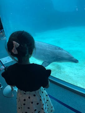 名古屋港水族館に投稿された画像（2023/8/17）