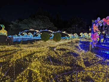 伊豆ぐらんぱる公園に投稿された画像（2023/8/17）