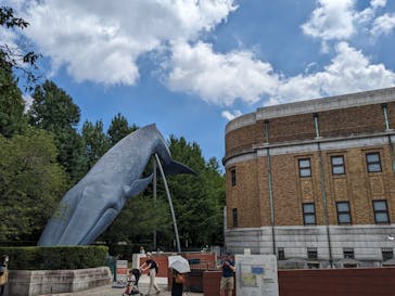 特別展「海　―生命のみなもと―」（国立科学博物館）に投稿された画像（2023/8/17）