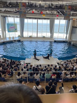アクアワールド茨城県大洗水族館に投稿された画像（2023/8/17）