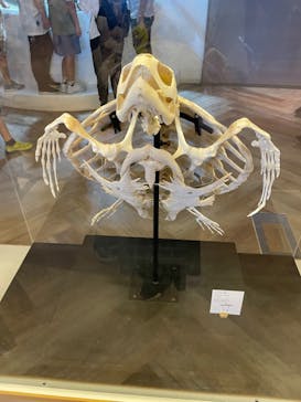 アクアワールド茨城県大洗水族館に投稿された画像（2023/8/17）