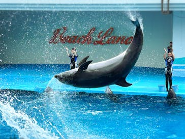 南知多ビーチランド＆南知多おもちゃ王国に投稿された画像（2023/8/17）