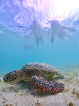 宮古島マリン GB QUESTに投稿された画像（2023/8/17）