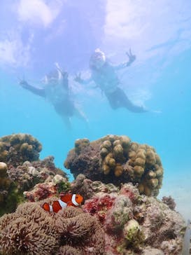 宮古島マリン GB QUESTに投稿された画像（2023/8/17）