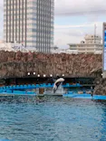 名古屋港水族館に投稿された画像（2023/8/18）