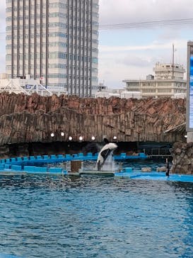 名古屋港水族館に投稿された画像（2023/8/17）