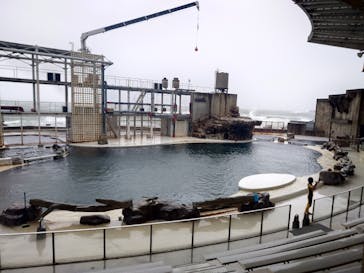 城崎マリンワールドに投稿された画像（2023/8/17）