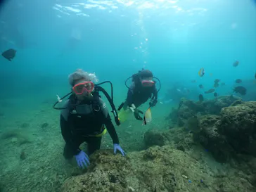 武藤潜水に投稿された画像（2023/8/18）