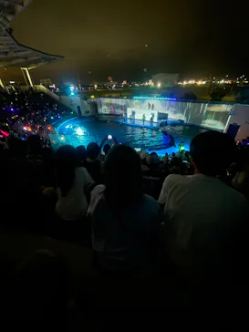 仙台うみの杜水族館に投稿された画像（2023/8/18）
