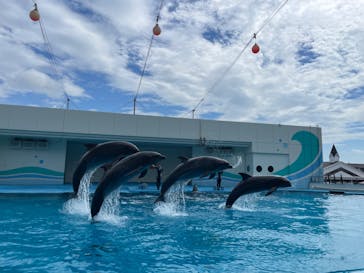 南知多ビーチランド＆南知多おもちゃ王国に投稿された画像（2023/8/18）