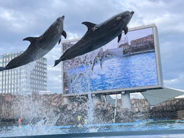 名古屋港水族館に投稿された画像（2023/8/18）