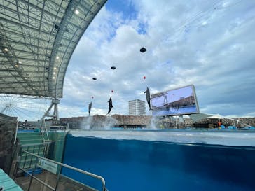 名古屋港水族館に投稿された画像（2023/8/18）