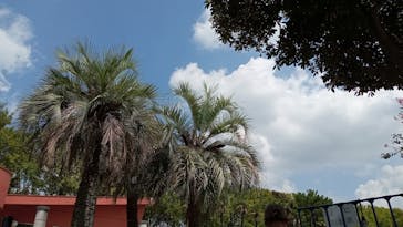 しらこばと水上公園（埼玉県公園緑地協会）に投稿された画像（2023/8/18）