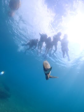 nico 宮古島に投稿された画像（2023/8/18）