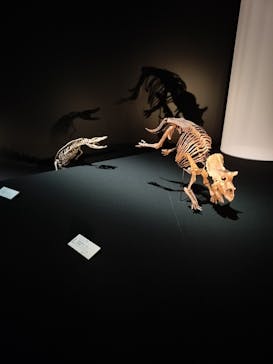 DinoScience 恐竜科学博 2023@TOKYO MIDTOWNに投稿された画像（2023/8/18）