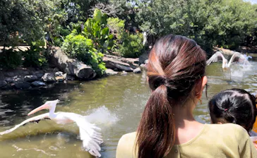 神戸どうぶつ王国に投稿された画像（2023/8/18）