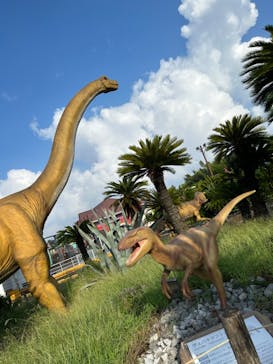 伊豆ぐらんぱる公園に投稿された画像（2023/8/18）