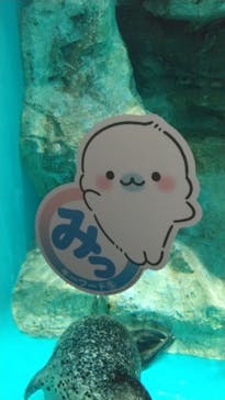 アクアワールド茨城県大洗水族館に投稿された画像（2023/8/18）