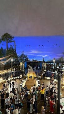 福井県立恐竜博物館に投稿された画像（2023/8/18）