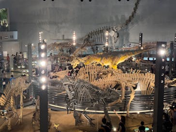 福井県立恐竜博物館に投稿された画像（2023/8/18）