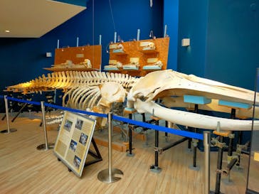 マリンワールド海の中道に投稿された画像（2023/8/18）