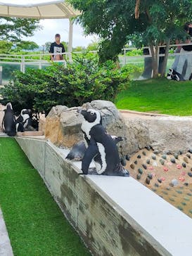 マリンワールド海の中道に投稿された画像（2023/8/18）