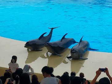 マリンワールド海の中道に投稿された画像（2023/8/18）