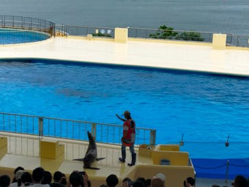 マリンワールド海の中道に投稿された画像（2023/8/18）