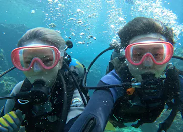 武藤潜水に投稿された画像（2023/8/18）