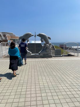 アクアワールド茨城県大洗水族館に投稿された画像（2023/8/18）