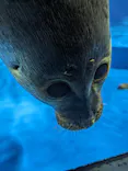 サンシャイン水族館に投稿された画像（2023/8/18）