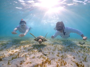 宮古島マリン GB QUESTに投稿された画像（2023/8/18）