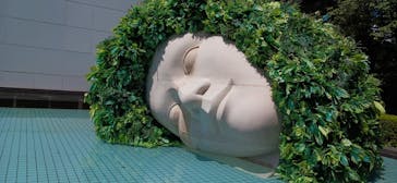 彫刻の森美術館に投稿された画像（2023/8/18）