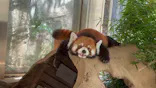 よこはま動物園ズーラシアに投稿された画像（2023/8/18）