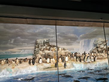 名古屋港水族館に投稿された画像（2023/8/18）