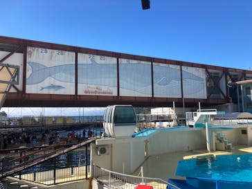 伊豆・三津シーパラダイスに投稿された画像（2023/8/18）